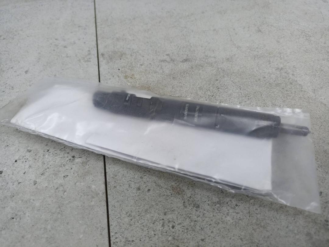 форсунка Renault Duster 1 поколение 2012, 166000897R, H8200827965 - фото №1