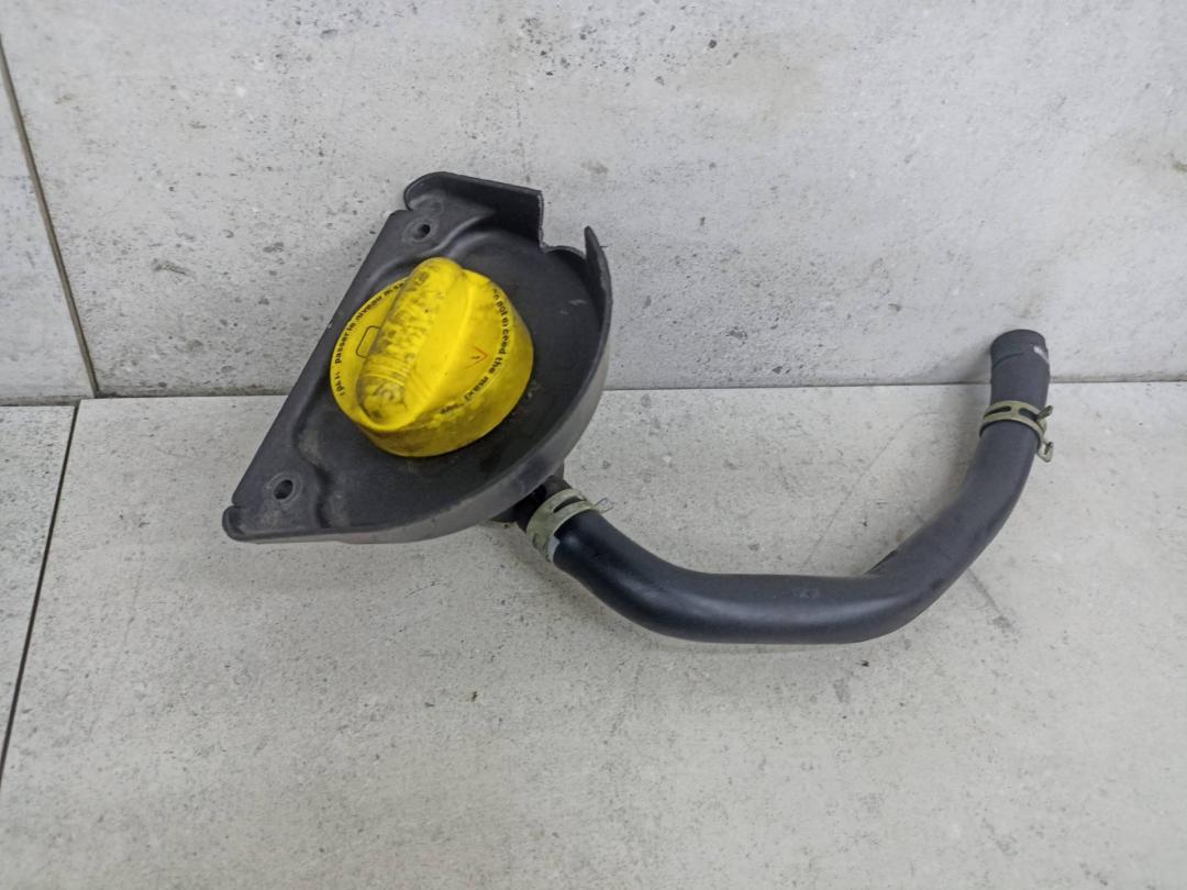 маслозаливная горловина Renault Trafic 3 поколение 2016, 1.6 л., R9M 452, дизель, 8200795333 - фото №1