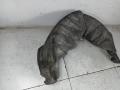 защита арок задняя левая (подкрылок) Renault Scenic 3 поколение (2009 - 2012), 767490006R - фото №4