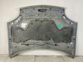 капот Nissan X-Trail T30 2003, F5100EQ0MM - фото №5