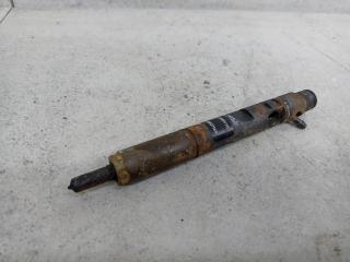 форсунка Renault Duster 1 поколение 2012, 166000897, H8200827965