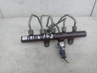 топливная рампа Renault Duster 1 поколение 2013, 9307Z517A, 8200669695