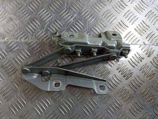 петля капота Opel Insignia 1 поколение (A) 2009, 12841601