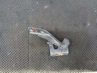 петля капота Renault Koleos 1 поколение 2011, 65400JY00A