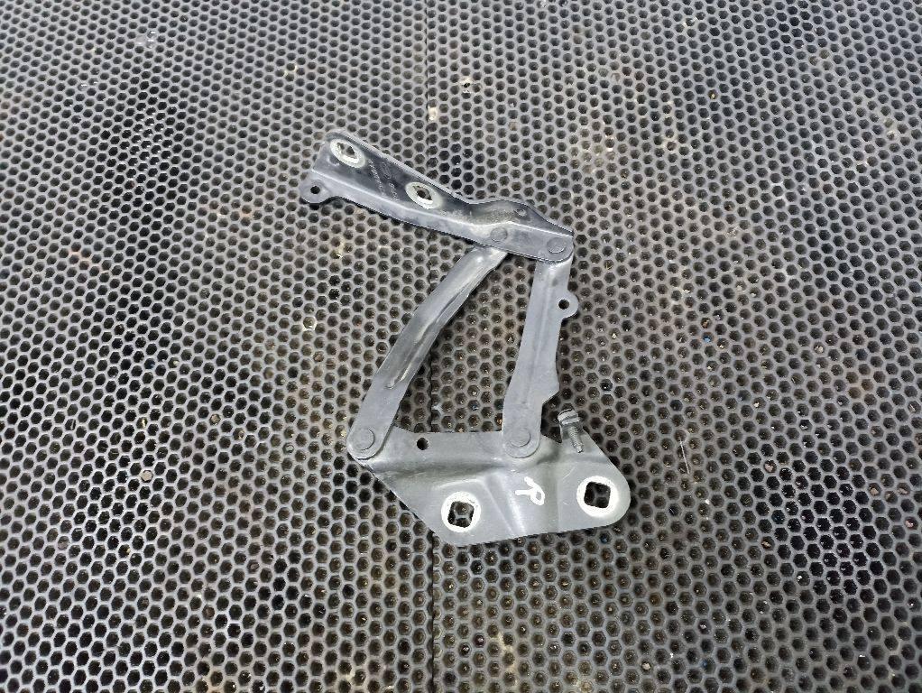 петля капота Ford Transit Custom 1 поколение 2014, BK21-16800-AD - фото №1