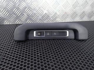 ручка внутренняя потолочная Mercedes-Benz S-Класс W222 [рестайлинг] 2017, A0009065500