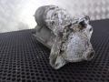 стартер Renault Megane 3 поколение 2012, 233003329R, 8200836473 - фото №7