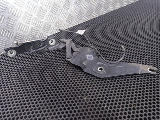 петля капота правая BMW X5 E70 [рестайлинг] 2013, 720862801