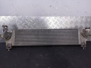 интеркулер Nissan Qashqai+2 J10 2009, 14461JD50B