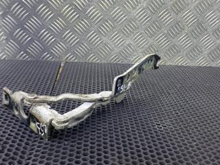 петля капота правая BMW X5 E53 [рестайлинг] 2003, 41618402174