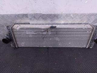 интеркулер Mercedes-Benz Sprinter 2 поколение (W906) 2009, A9065010201, 2E0145804A