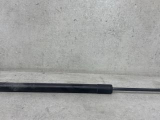 амортизатор крышки багажника (3-5 двери) Renault Scenic 3 поколение 2010, 904500004R