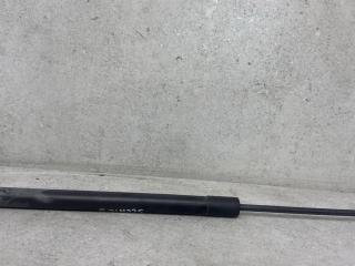 амортизатор крышки багажника (3-5 двери) Renault Scenic 3 поколение 2010, 904500004R