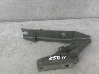 петля капота правая BMW 5 серия E60/E61 [рестайлинг] (2007 - 2010), 008728