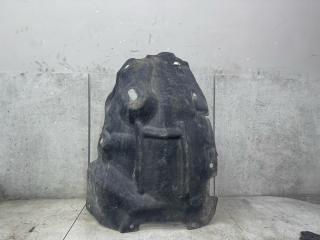 защита арок передняя левая (подкрылок) Renault Scenic 4 поколение, 638443887R