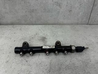 топливная рампа Citroen Berlingo 2 поколение (B9) (2008 - 2012), 9685297580