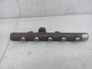 топливная рампа Renault Duster 1 поколение 2012, 9307Z517A, 8200669695