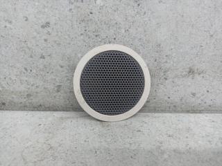 сетка на динамик BMW X5 F15 (2013 - 2018), 7137193