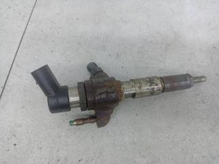 форсунка Citroen C4 Grand Picasso 2 поколение 2015, 9802448680, 50274V05