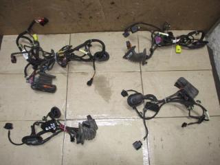 дверная проводка Volkswagen Passat B6 2007, 2.0 л., TDi, BMP, дизель, МКПП, черный, универсал, полный привод