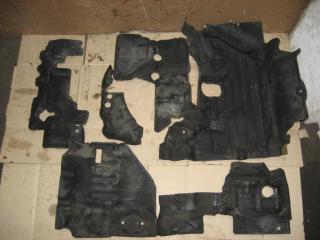 защита двигателя Volkswagen Caravelle 5 2006, 2.5 л., TDi, AXD, дизель, МКПП, красный, минивэн, передний привод