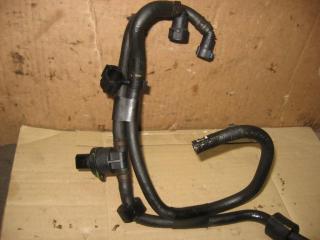 Датчик температуры топлива Volkswagen Caravelle 5 2006, 2.5 л., TDi, AXD, дизель, МКПП, красный, минивэн, передний привод, 038906081B