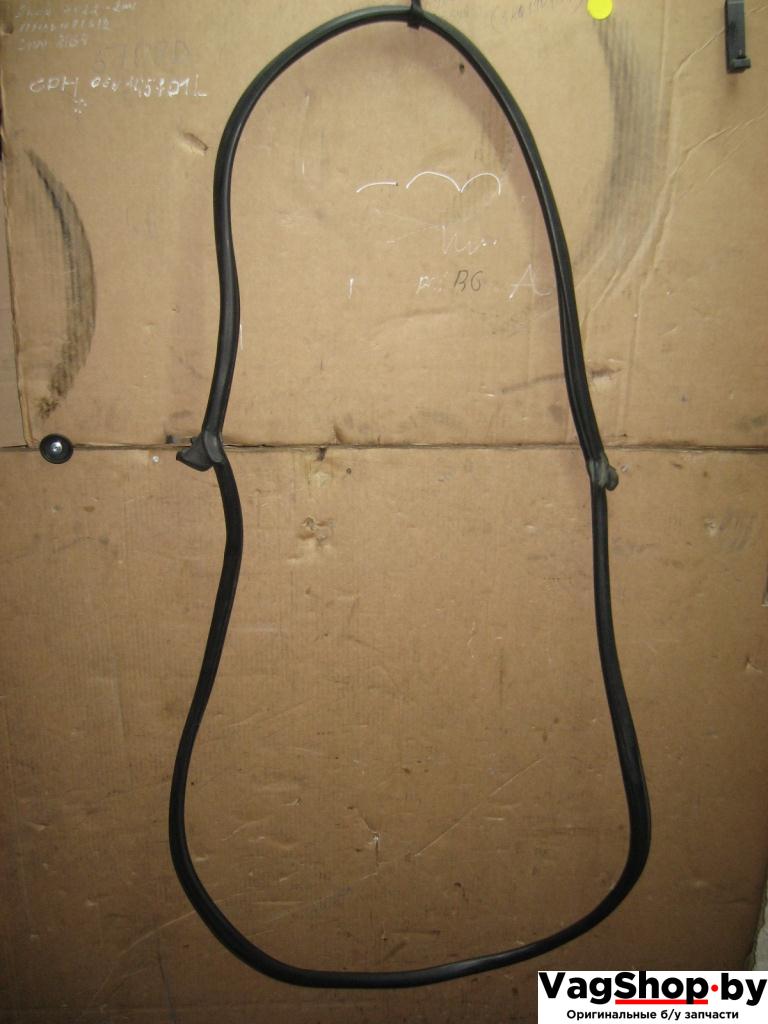 уплотнитель Volkswagen Touareg 1 поколение 2004, 4.2 л., i, AXQ, бензин, АКПП, белый, внедорожник 5 дв., полный привод, 7L6823707B - фото №1