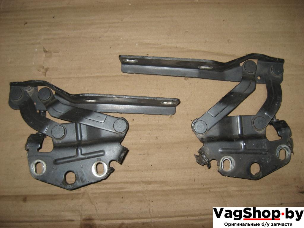 петля капота Volkswagen Passat B6 2010, 2.0 л., TDi, CBB, дизель, АКПП, серый, универсал, полный привод, 3C0823301E - фото №1