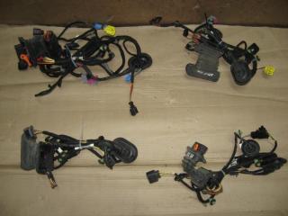 дверная проводка Volkswagen Passat B6 2010, 2.0 л., TDi, CBB, дизель, АКПП, серый, универсал, полный привод