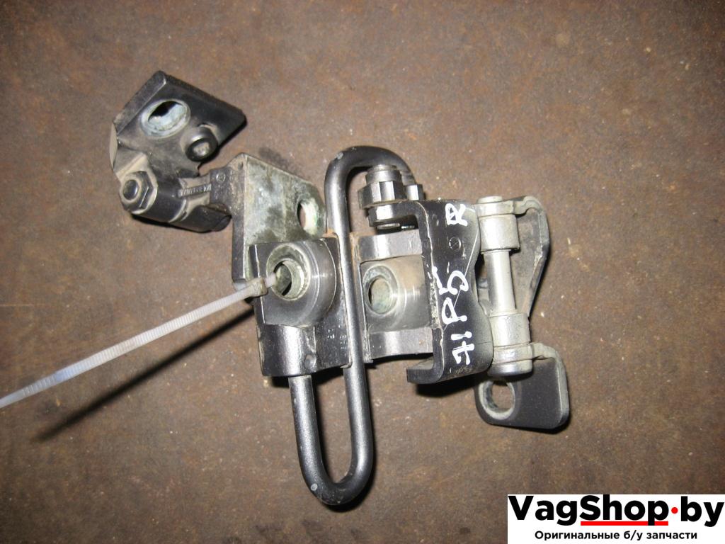 петля двери Volkswagen Golf Plus 1 поколение 2006, 1.9 л., TDi, BLS, дизель, МКПП, серый, хетчбэк 5 дв., передний привод - фото №1