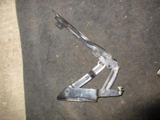 петля капота Volkswagen Golf 5 поколение 2005, 2.0 л., TDi, BMM, дизель, АКПП, черный, хетчбэк 5 дв., передний привод, 1K0823301C, 1K0823302C