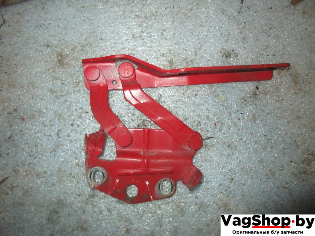 петля капота Volkswagen Passat B6 2010, 2.0 л., TDi, CBB, дизель, АКПП, красный, универсал, полный привод, 3C0823301E - фото №1