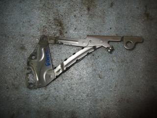 петля капота Volkswagen Golf Plus 1 поколение 2007, 1.9 л., TDi, BLS, дизель, МКПП, серебро, хетчбэк 5 дв., передний привод, 5M0823302