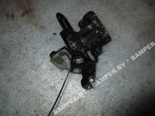 петля двери Volkswagen Golf Plus 1 поколение 2007, 1.9 л., TDi, BLS, дизель, МКПП, сине-зеленый хамелеон, хетчбэк 5 дв., передний привод