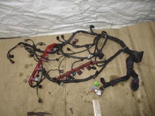 проводка двигателя Audi A8 D3/4E [2-й рестайлинг] 2008, 4.2 л., FSI, BVJ, бензин, АКПП, черный, седан, полный привод, 4E1971713DG