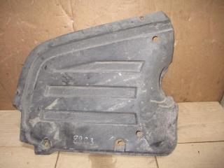 защита бампера заднего Volkswagen Passat B6 2007, 2.0 л., TDi, BMP, дизель, МКПП, черный, универсал, полный привод, 3C0825216C