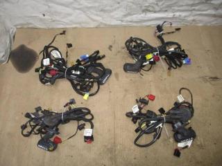 дверная проводка Audi A6 4F/C6 [рестайлинг] 2009, 3.0 л., TFSI, CAJ, бензин, АКПП, черный, седан, полный привод