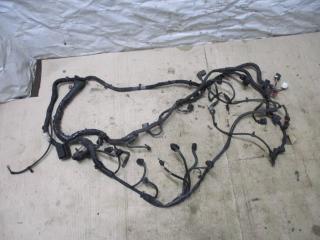 проводка двигателя Audi Q7 4L 2007, 3.0 л., TDi, BUN, дизель, АКПП, черный, внедорожник 5 дв., полный привод