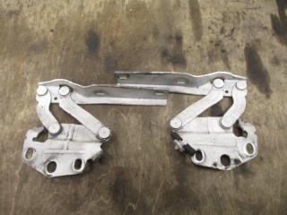 петля капота Volkswagen Passat B6 2009, 2.0 л., TDi, CBA, дизель, АКПП, белый, седан, передний привод, 3C0823301E