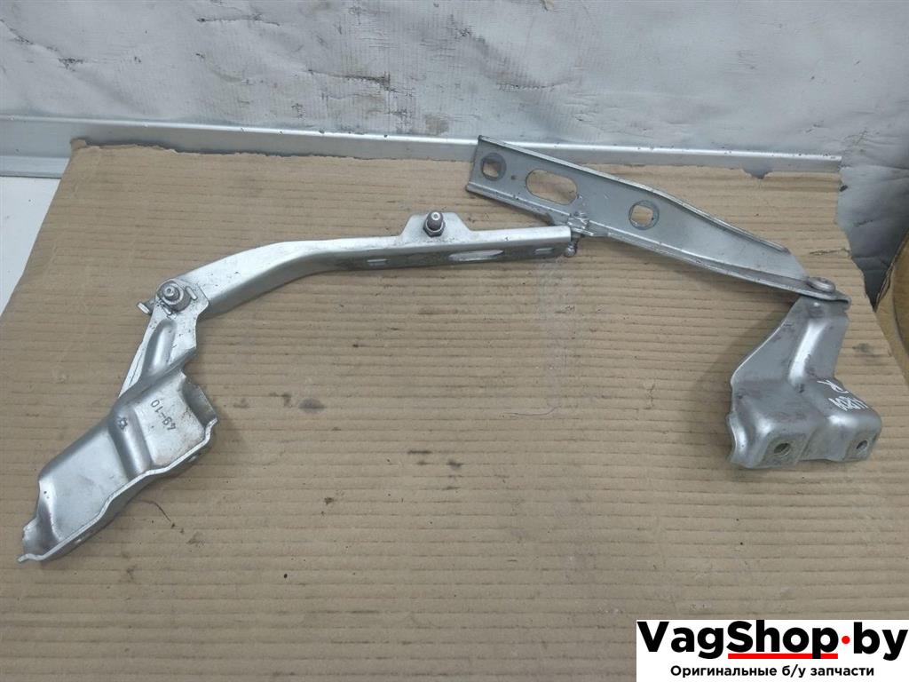 петля капота Audi Q5 8R 2011, 2.0 л., TDi, CJC, дизель, МКПП, серебро, внедорожник 5 дв., полный привод, 8R0823301A, 8R0823302A - фото №1