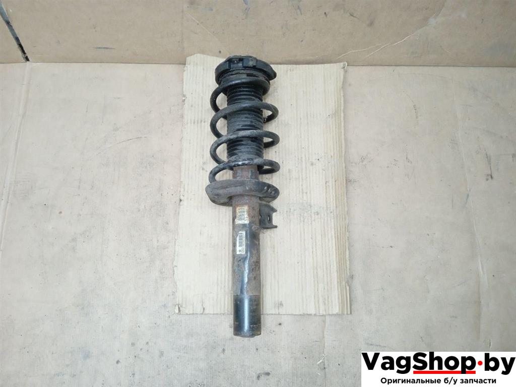 амортизатор передний Volkswagen Golf Plus 1 поколение 2007, 1.6 л., i, бензин, МКПП, хетчбэк 5 дв., 1T0412015MP - фото №1