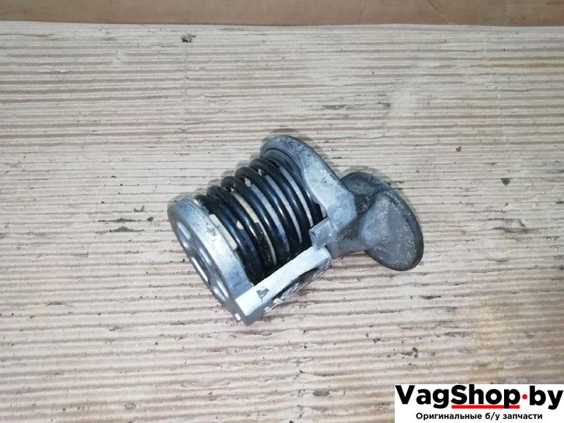 натяжитель Volkswagen Tiguan 1 поколение 2010, 2.0 л., TDi, CFG, дизель, МКПП, серебро, внедорожник 5 дв., полный привод, 038903315AH - фото №1