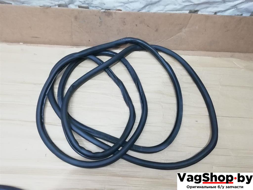 уплотнитель Volkswagen Tiguan 1 поколение 2010, 2.0 л., TDi, CFG, дизель, МКПП, серебро, внедорожник 5 дв., полный привод, 5N0867913 - фото №1