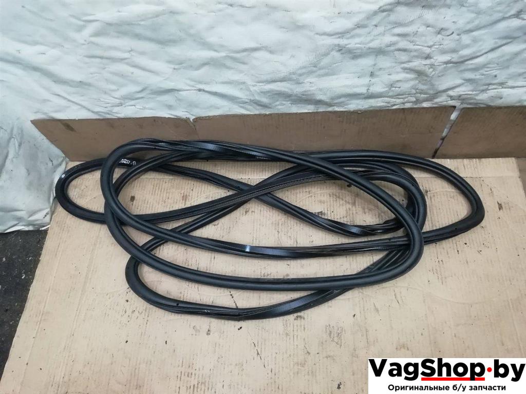 уплотнитель Audi Q7 4L 2006, 3.0 л., TDi, BUG, дизель, АКПП, серебро, внедорожник 5 дв., полный привод, 4L0831721 - фото №1