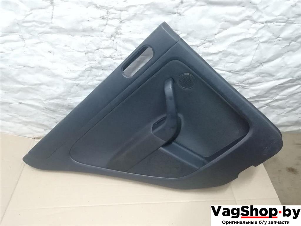 обшивка двери задняя левая Volkswagen Golf Plus 2 поколение 2010, 1.6 л., TDi, CAY, дизель, МКПП, серебро, хетчбэк 5 дв., передний привод - фото №1