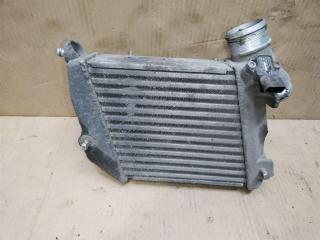 интеркулер Audi A8 D3/4E [рестайлинг] 2007, 3.0 л., TDi, ASB, дизель, АКПП, серый, седан, полный привод, 038906051B, 4E0145805J