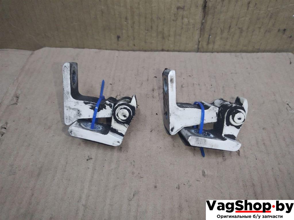 петля двери Audi A4 B8/8K 2011, 2.7 л., TDi, CGK, дизель, МКПП, белый, седан, передний привод, 8K0831402E, 8K0831402B - фото №1