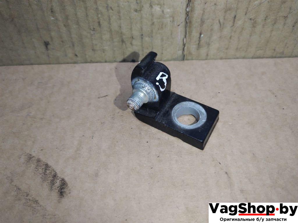 петля двери Volkswagen Touran 2 2013, 1.6 л., TDi, CAY, дизель, МКПП, черный, минивэн, передний привод - фото №1