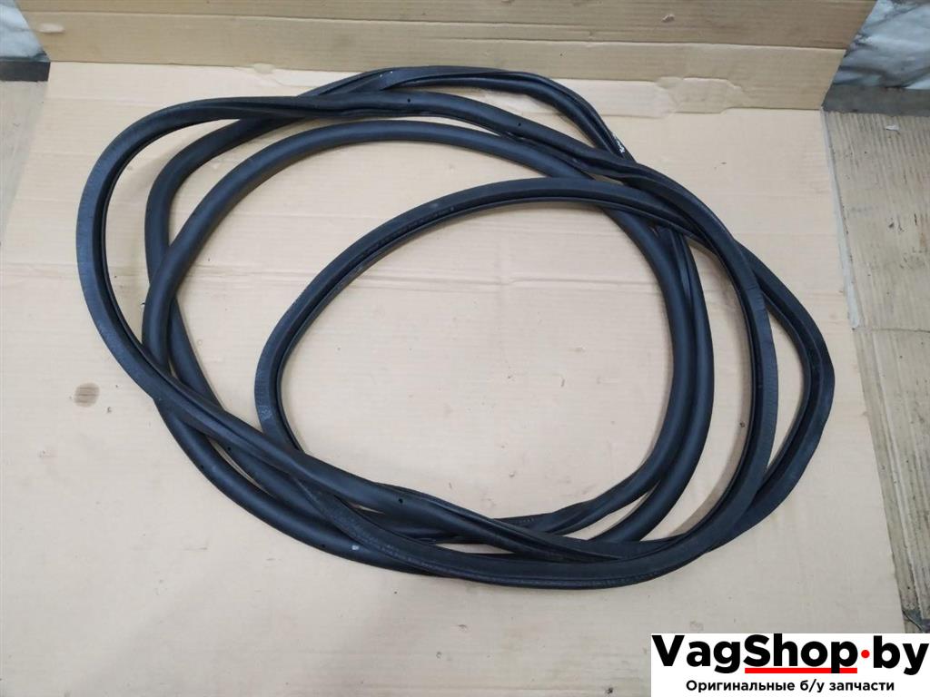 уплотнитель двери Volkswagen Touran 2 2013, 1.6 л., TDi, CAY, дизель, МКПП, черный, минивэн, передний привод, 1T0867913K - фото №1