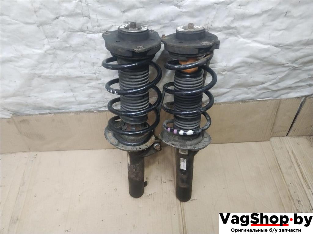 амортизатор передний Volkswagen Golf Plus 2 поколение 2010, 1.6 л., TDi, CAY, дизель, АКПП, красный, хетчбэк 5 дв., передний привод, 1T0413031HM, 1T0412015JM - фото №1